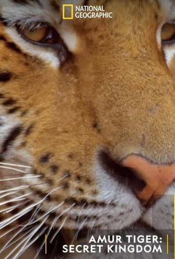 Poster for Siberian Tiger, The Secret Kingdom