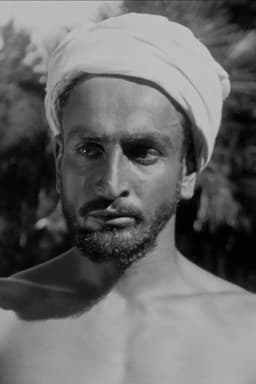 Photo of Siko Palavandishvili