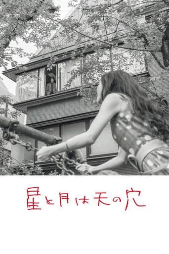 Poster for The Stars and the Moon are Holes in the Sky
