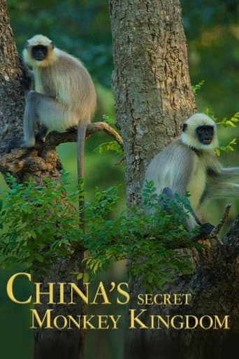 Poster for China's Secret Monkey Kingdom