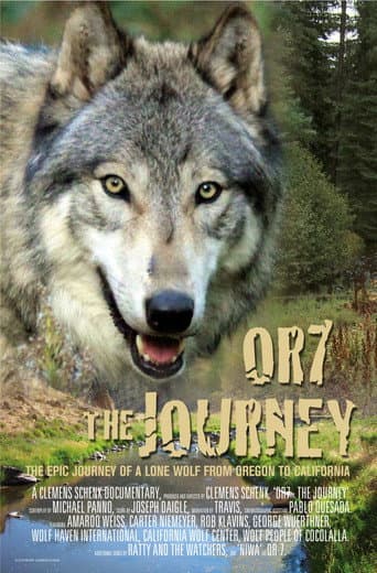 Poster for Or7: The Journey