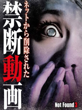 Poster for Not Found 3