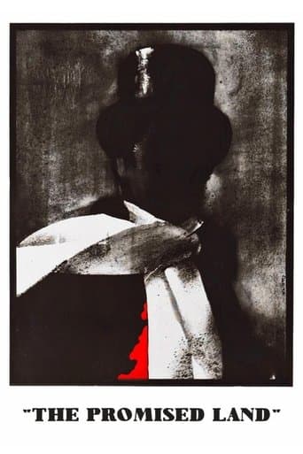 Poster for The Promised Land
