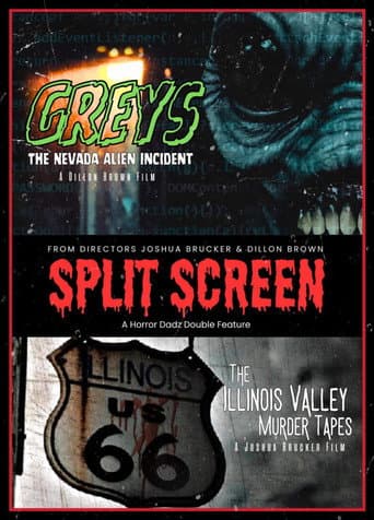 Poster for Split Screen