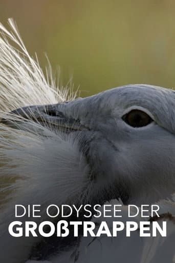 Poster for Glorious Bustards