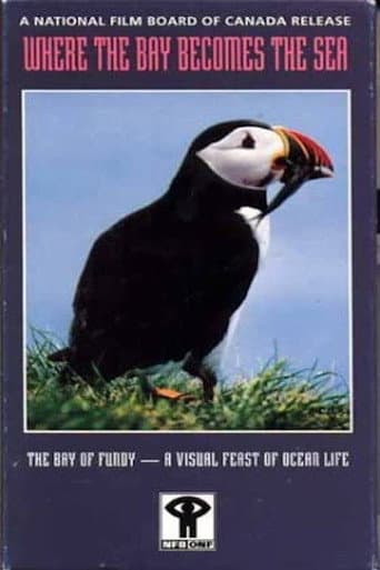 Poster for Where the Bay Becomes the Sea