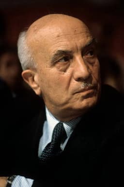 Photo of Amintore Fanfani