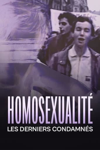 Poster for Homosexualité, les derniers condamnés