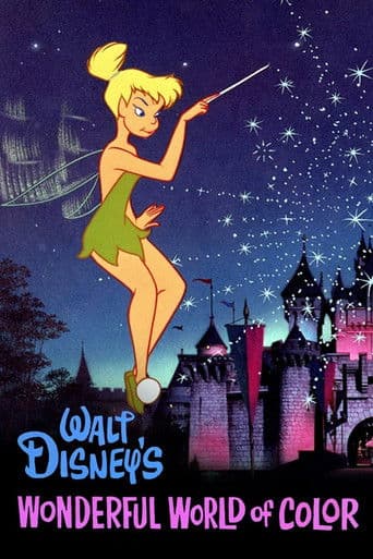 Poster for The Wonderful World of Disney