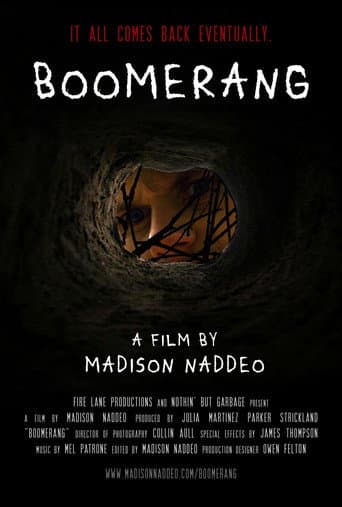 Poster for Boomerang