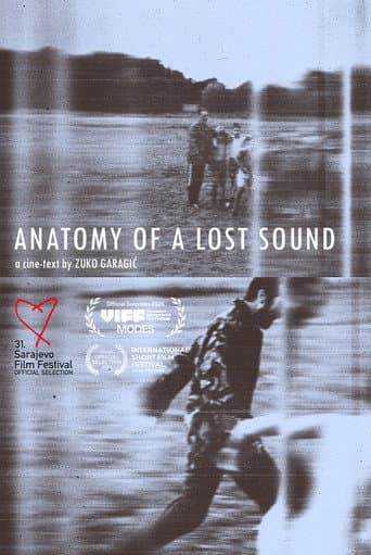 Poster for Anatomy of a Lost Sound
