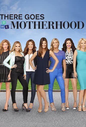 Poster for There Goes the Motherhood