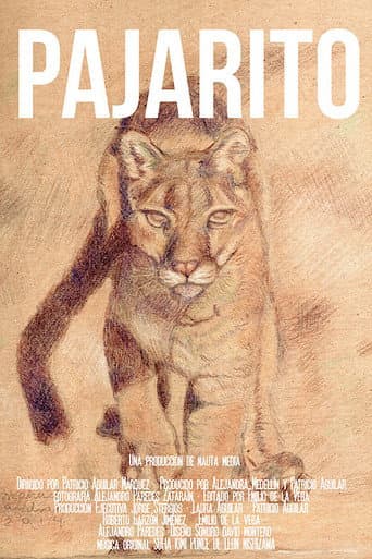 Poster for Pajarito