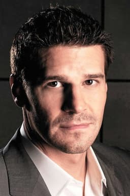 Photo of David Boreanaz