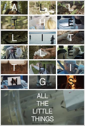 Poster for All the Little Things