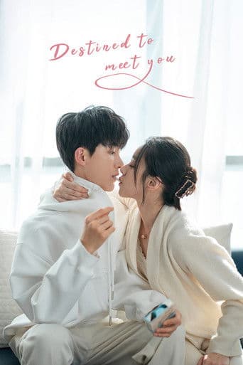 Poster for Destined to Meet You