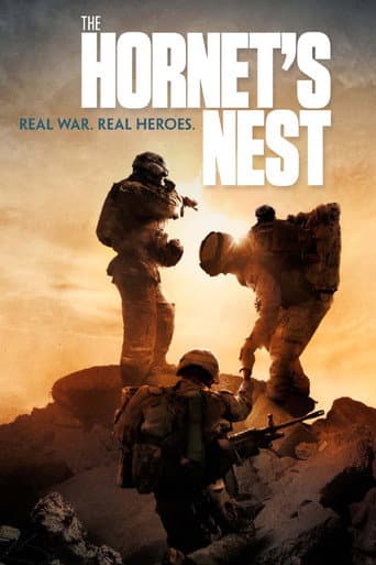 Poster for The Hornet's Nest