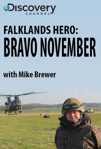 Poster for Falklands Hero: Bravo November