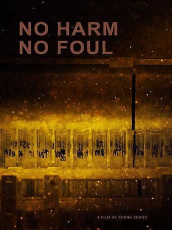 Poster for No Harm No Foul
