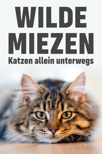 Poster for Wilde Miezen - Katzen allein unterwegs