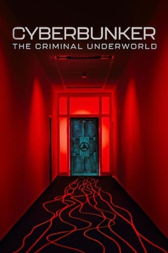 Poster for Cyberbunker: The Criminal Underworld