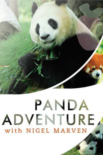 Poster for Panda Adventure with Nigel Marven