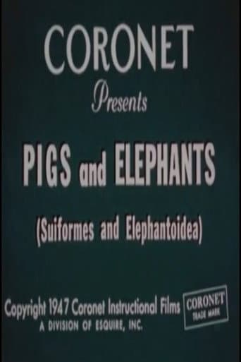 Poster for Pigs and Elephants (Suiformes and Elephantoidea)