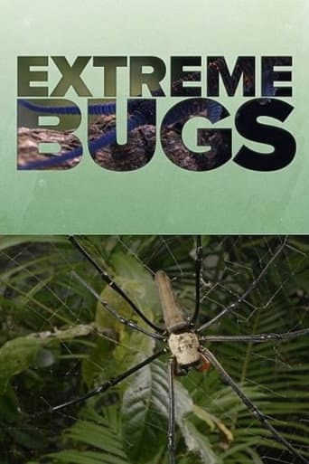 Poster for Extreme Bugs