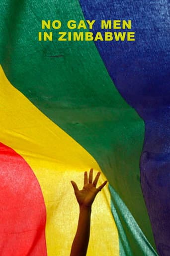 Poster for No Gay Men in Zimbabwe