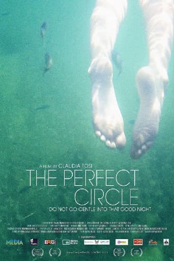 Poster for The Perfect Circle