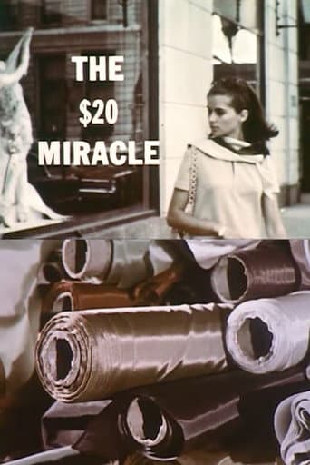 Poster for The Twenty Dollar Miracle