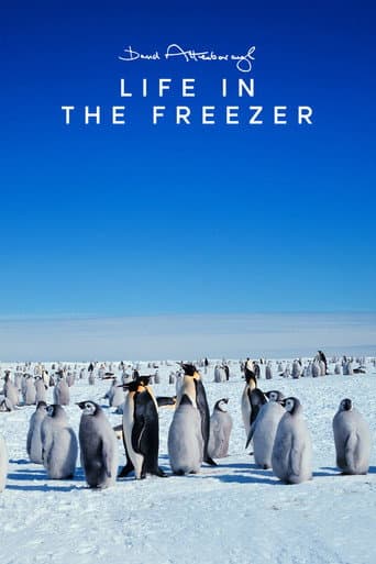 Poster for Life in the Freezer