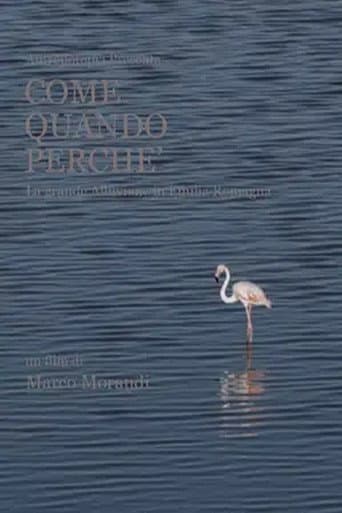 Poster for Come quando perché