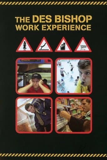 Poster for The Des Bishop Work Experience
