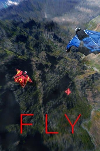 Poster for Fly