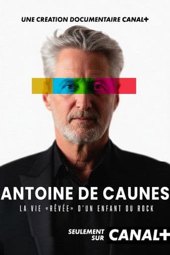 Poster for Antoine de Caunes : La vie rêvée d'un enfant du rock