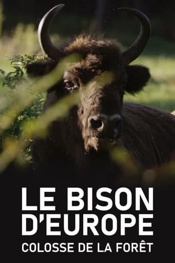 Poster for Le Bison d'Europe, colosse de la forêt