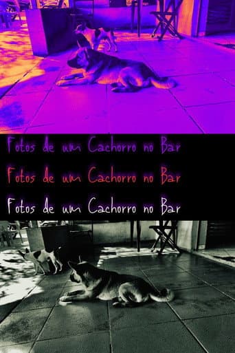 Poster for Pictures of a Dog at the Bar