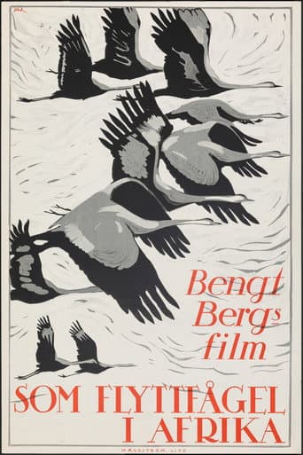 Poster for As a Migratory Bird in Africa