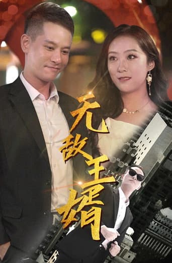Poster for 无敌王婿