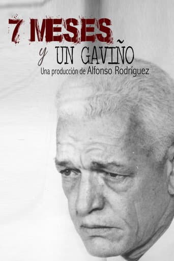 Poster for 7 meses y un Gaviño