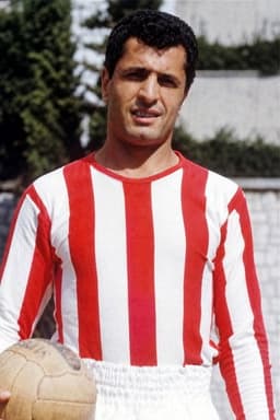 Photo of Mustapha Zitouni