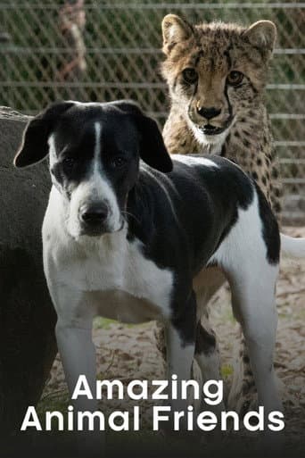 Poster for Amazing Animal Friends
