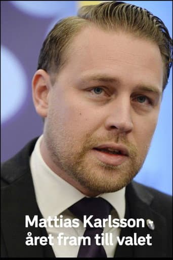 Poster for Mattias Karlsson: Året fram till valet