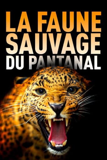 Poster for Among Big Cats and Anteaters - With Lydia Möcklinghoff in Brazil's wildlife