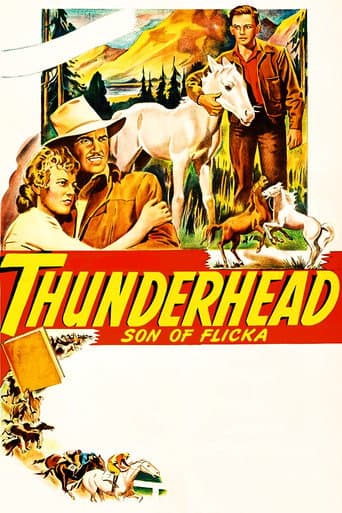 Poster for Thunderhead: Son of Flicka