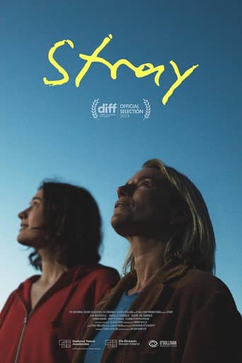 Poster for Stray