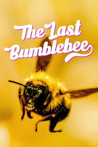Poster for The Last Bumblebee