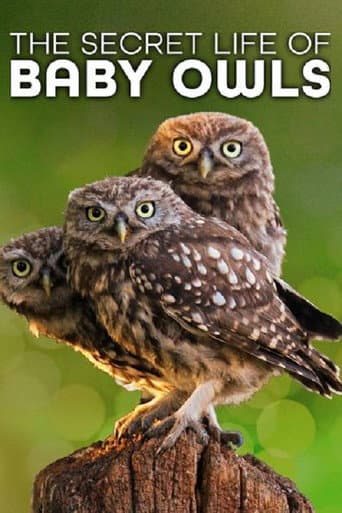 Poster for The Secret Life of Owls