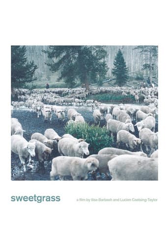 Poster for Sweetgrass
